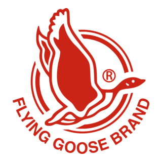 Flying Goose