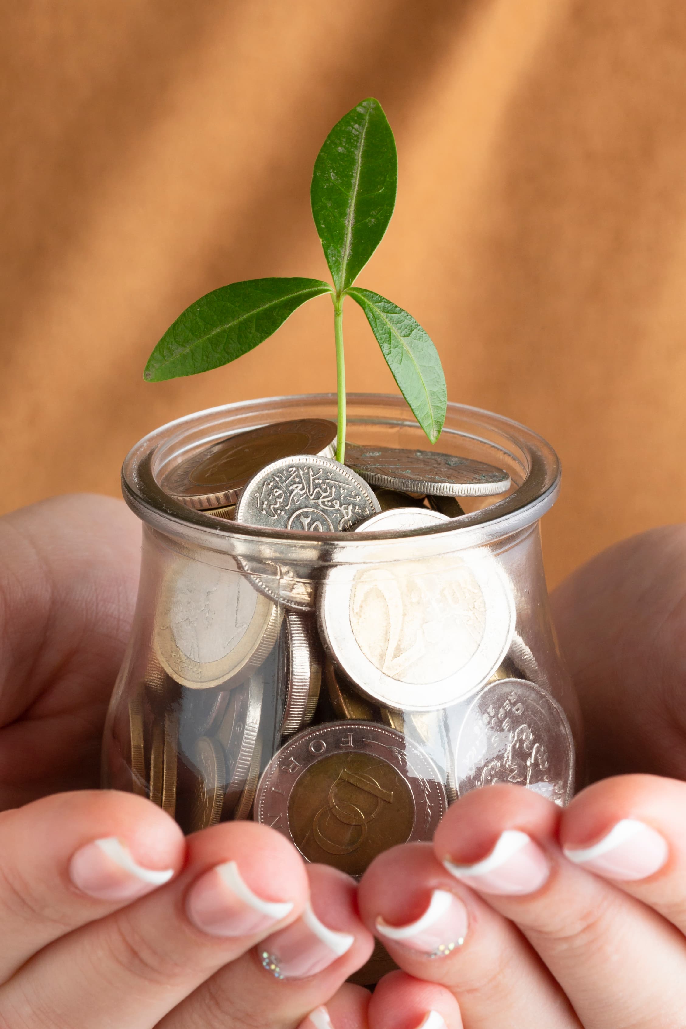 HDG Strong Financial Foundation